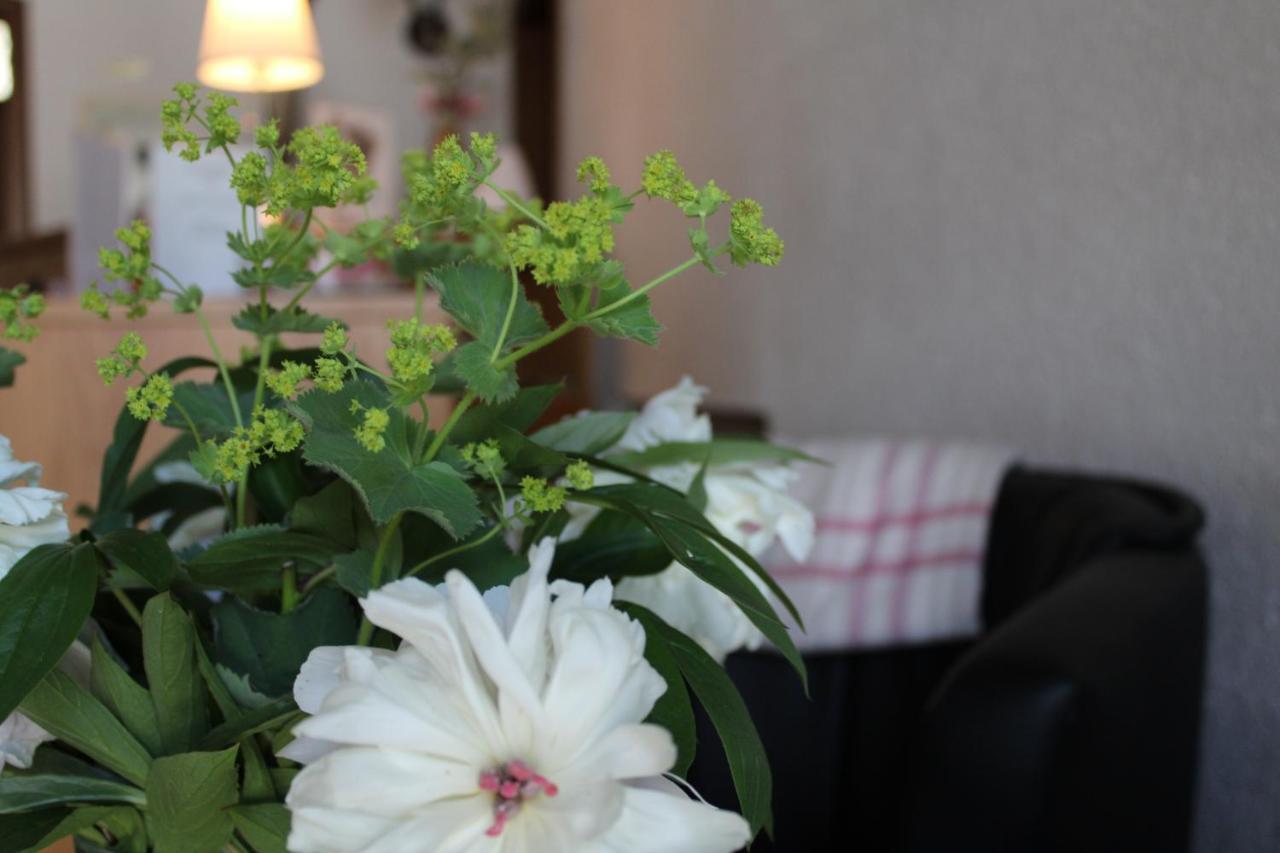 Landhotel Hubertus Unterelsbach Εξωτερικό φωτογραφία
