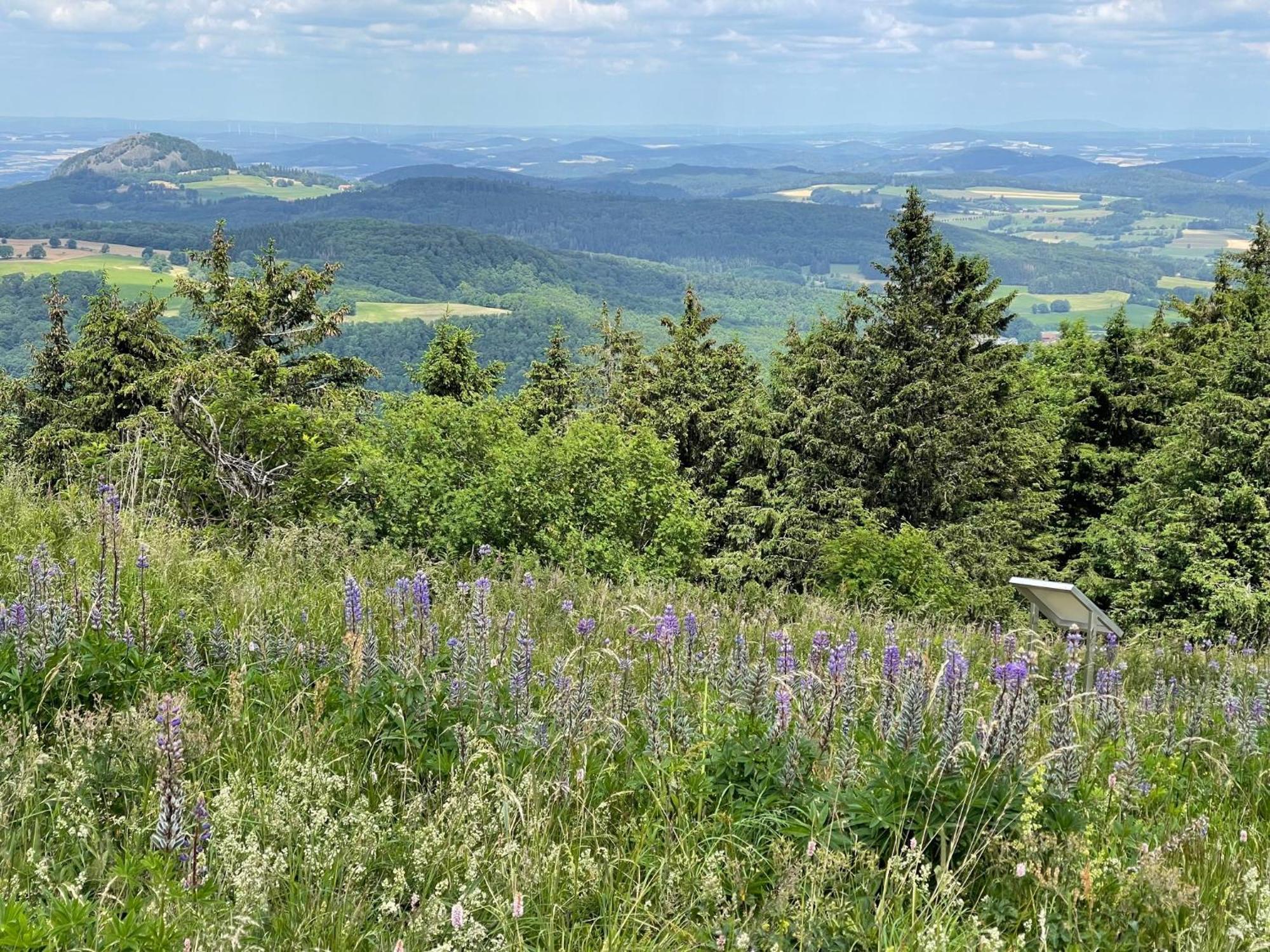 Landhotel Hubertus Unterelsbach Εξωτερικό φωτογραφία
