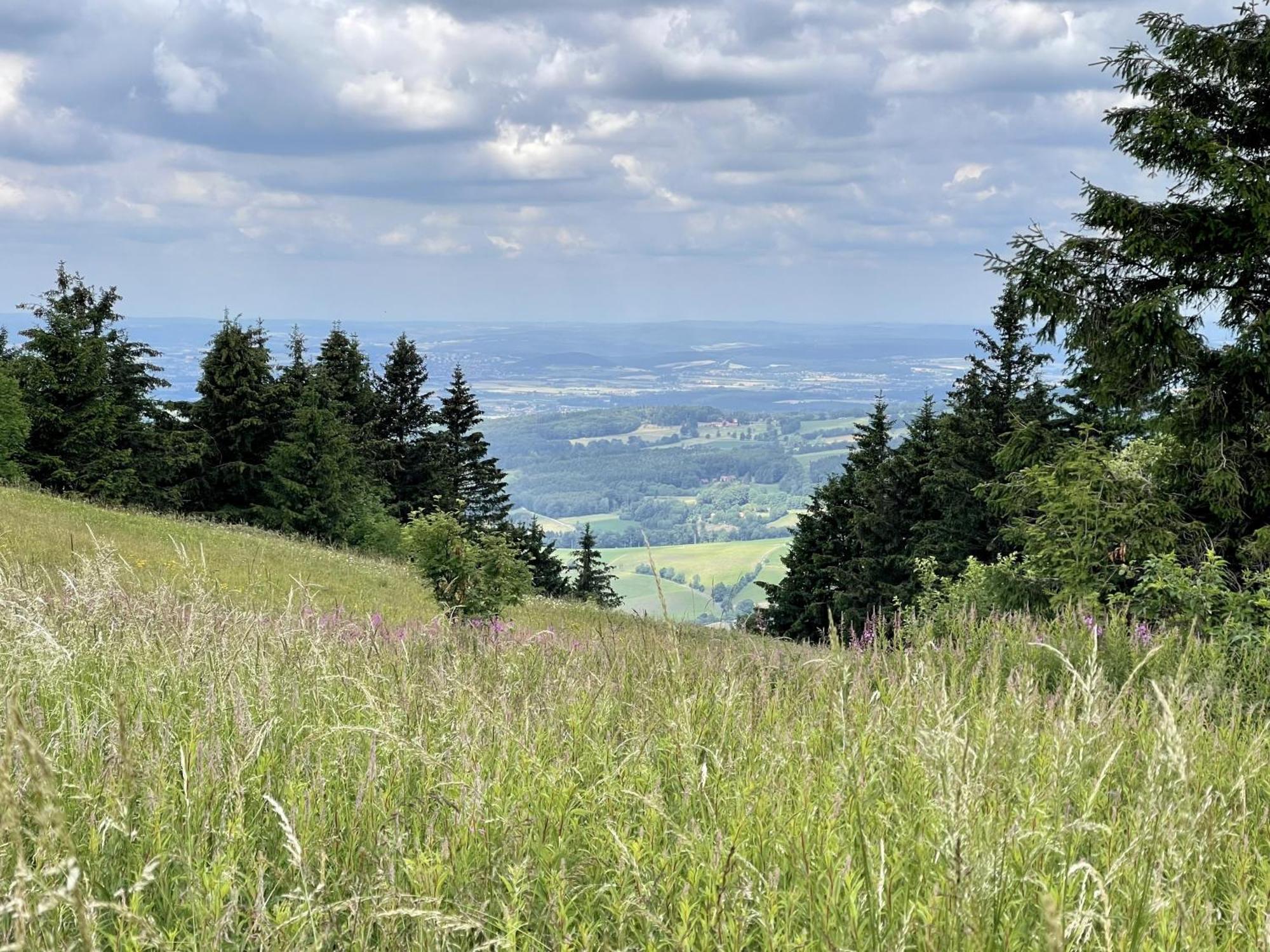 Landhotel Hubertus Unterelsbach Εξωτερικό φωτογραφία